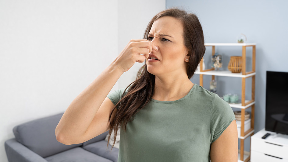 Six Common Air Conditioner Smells Explained and How to Solve the Issue